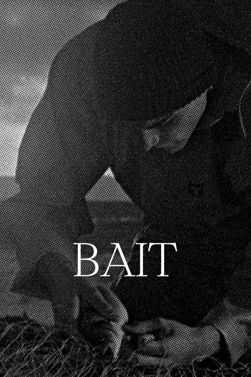 Affiche Bait