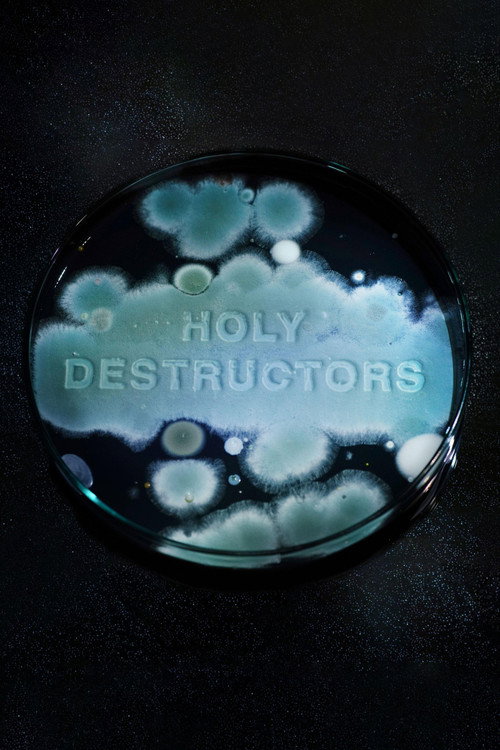 Affiche Holy Destructors