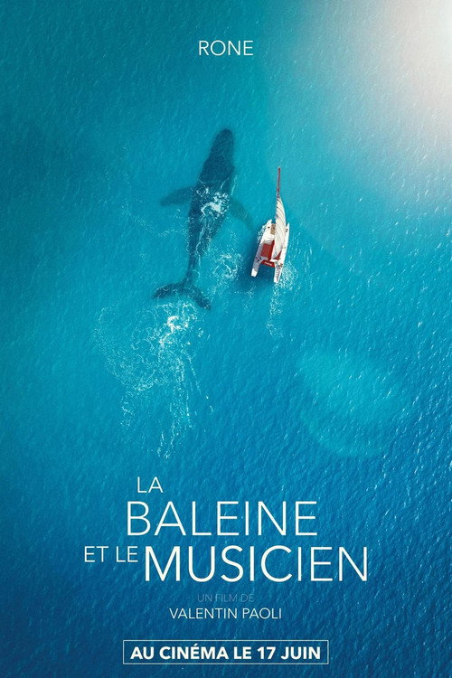 Affiche La Baleine et le musicien