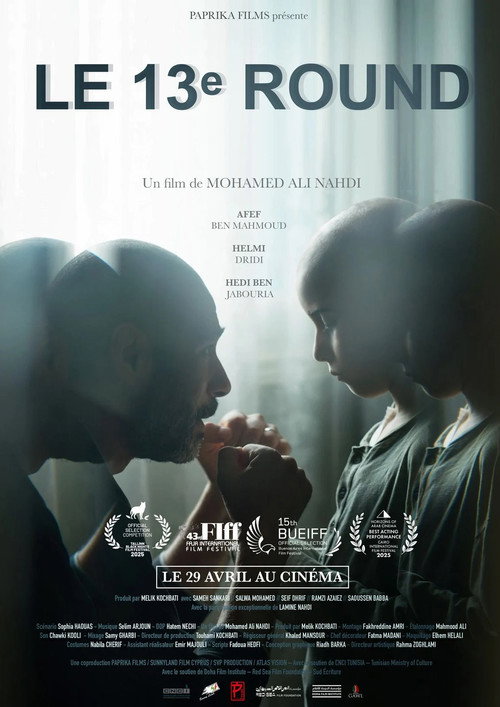 Affiche Le 13e Round