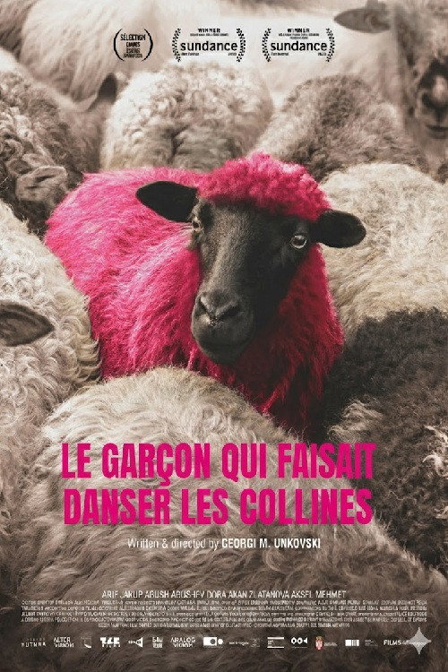 Affiche Le Garçon qui faisait danser les collines