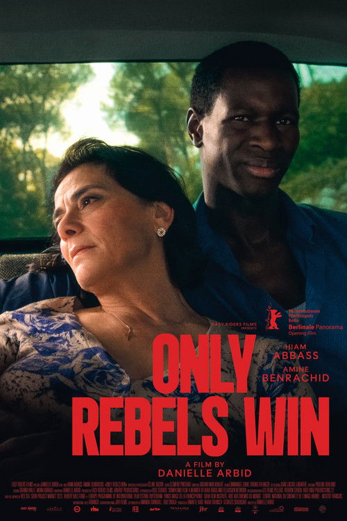 Affiche Seuls les rebelles